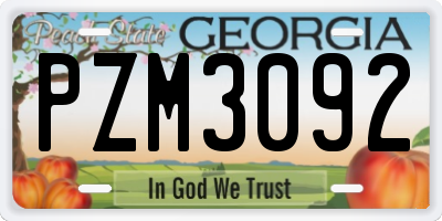 GA license plate PZM3092