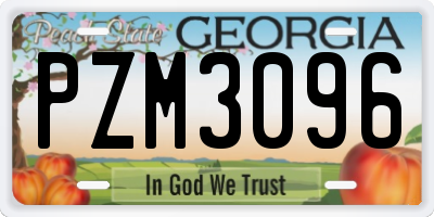 GA license plate PZM3096
