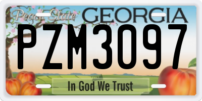 GA license plate PZM3097