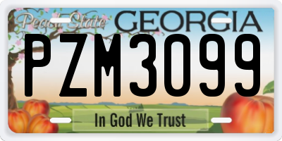 GA license plate PZM3099