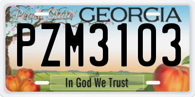 GA license plate PZM3103
