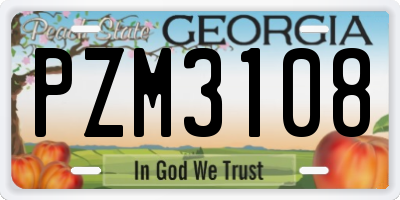 GA license plate PZM3108