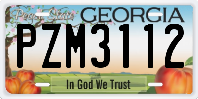 GA license plate PZM3112