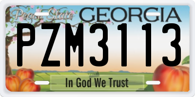 GA license plate PZM3113