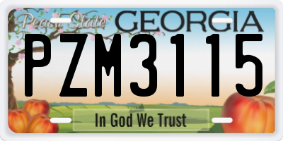 GA license plate PZM3115