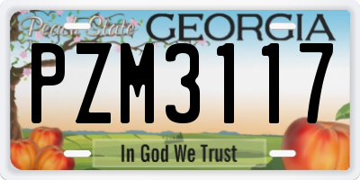 GA license plate PZM3117