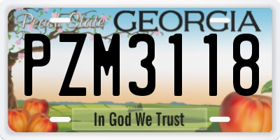 GA license plate PZM3118