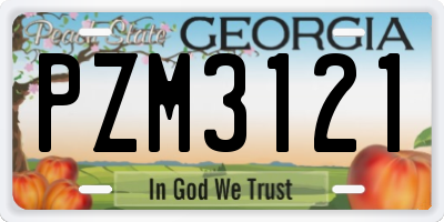 GA license plate PZM3121