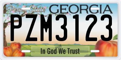 GA license plate PZM3123