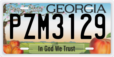 GA license plate PZM3129