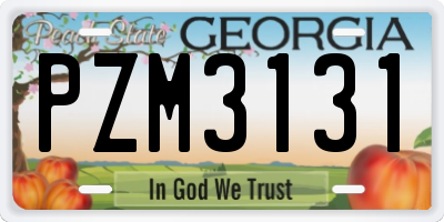 GA license plate PZM3131