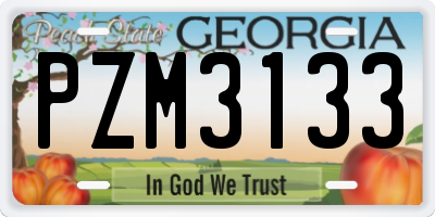 GA license plate PZM3133