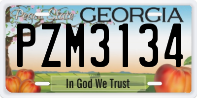 GA license plate PZM3134