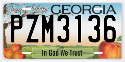 GA license plate PZM3136