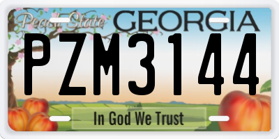 GA license plate PZM3144