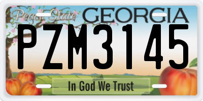GA license plate PZM3145