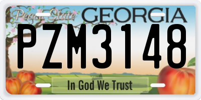 GA license plate PZM3148