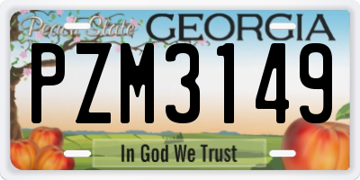 GA license plate PZM3149