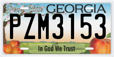 GA license plate PZM3153