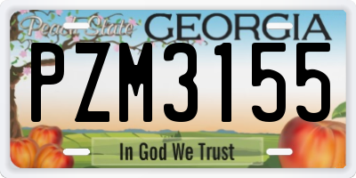GA license plate PZM3155