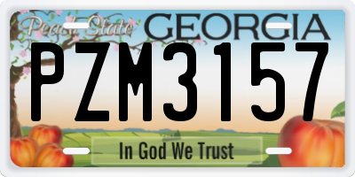 GA license plate PZM3157