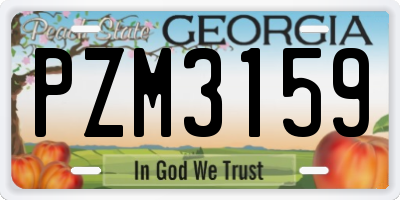 GA license plate PZM3159