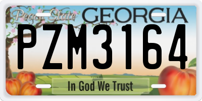 GA license plate PZM3164