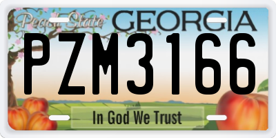 GA license plate PZM3166