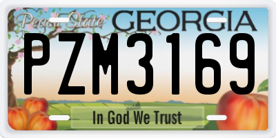 GA license plate PZM3169