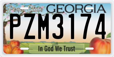 GA license plate PZM3174