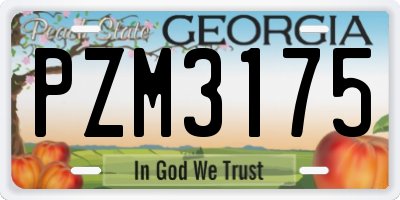 GA license plate PZM3175