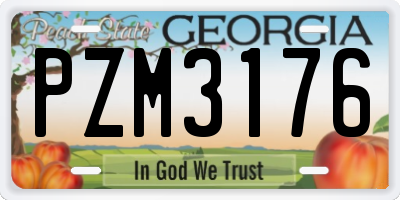 GA license plate PZM3176