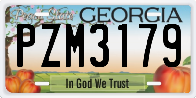 GA license plate PZM3179