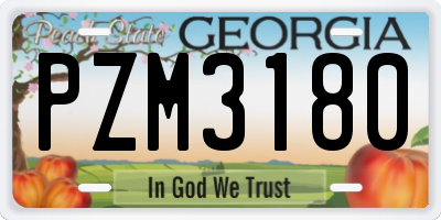 GA license plate PZM3180