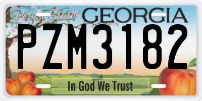 GA license plate PZM3182