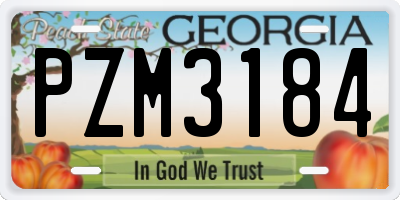 GA license plate PZM3184