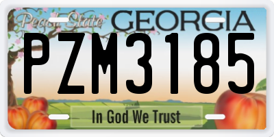 GA license plate PZM3185