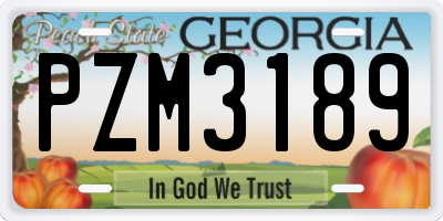 GA license plate PZM3189