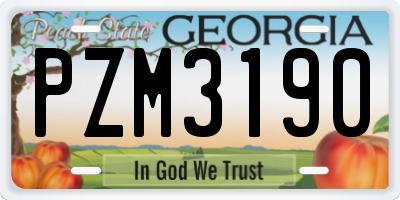 GA license plate PZM3190