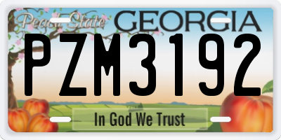 GA license plate PZM3192