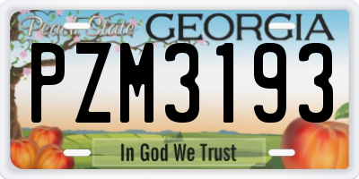 GA license plate PZM3193