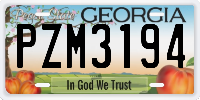 GA license plate PZM3194