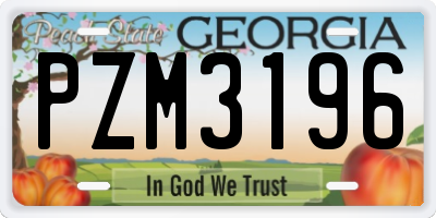 GA license plate PZM3196