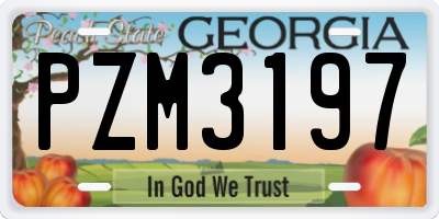 GA license plate PZM3197