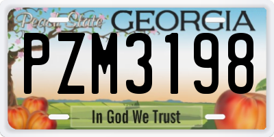 GA license plate PZM3198