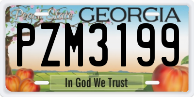 GA license plate PZM3199