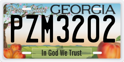 GA license plate PZM3202