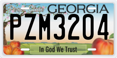 GA license plate PZM3204