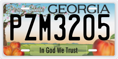 GA license plate PZM3205