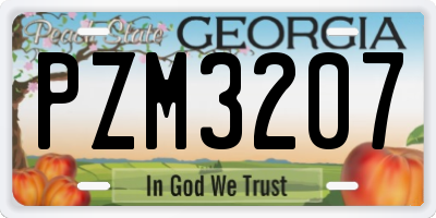 GA license plate PZM3207